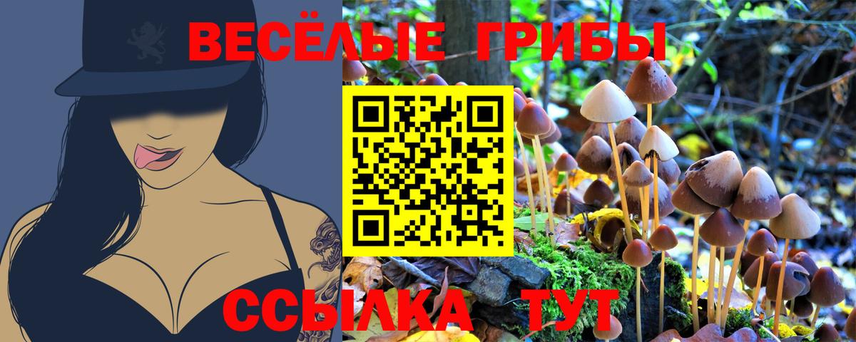 Кандалакша  Псилоцибиновые грибы MAGIC MUSHROOMS  Вход с VPN 